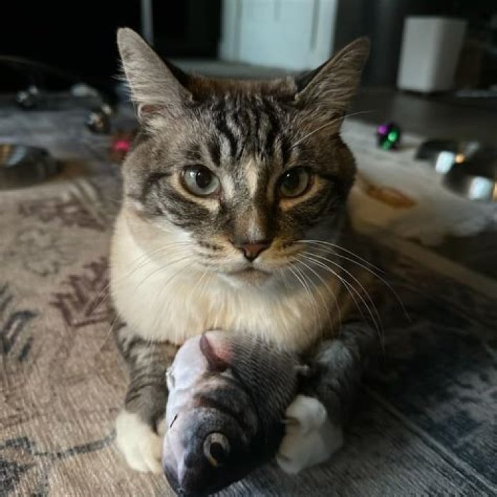 Christen Gerhart Biography, Age, Height, Husband, Net Worth, Family