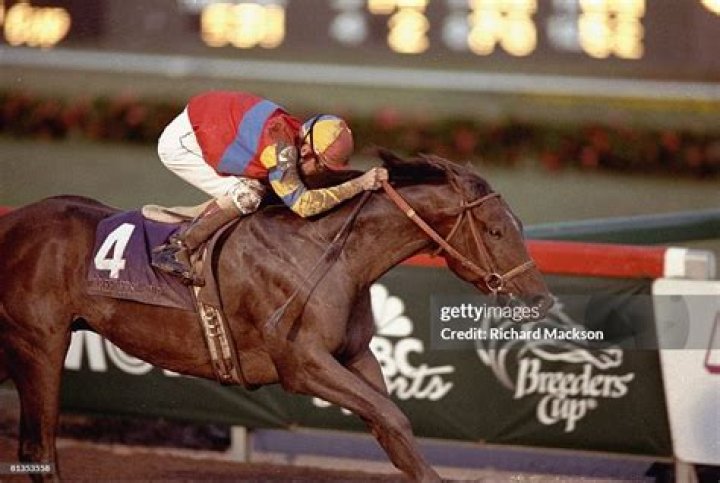 Eddie Delahoussaye Biography, Age, Height, Wife, Net Worth, Family